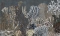Fototapeta rafy koralowe Wall & More CORAL 2412 13B