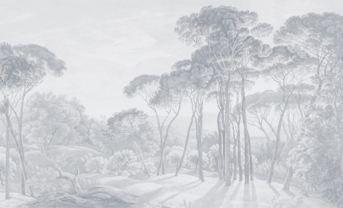 Fototapeta krajobraz drzew Wall & More UMBRIA 2483 13B