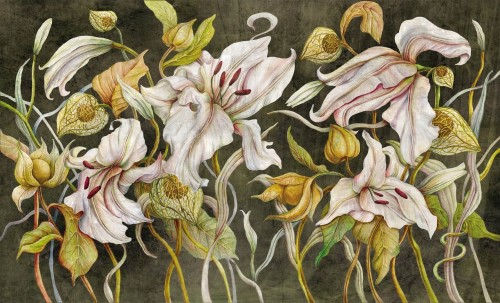 Fototapeta kwiaty Wall & More LILY 2429 27C