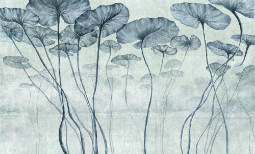 Fototapeta liście lilii wodnej Wall & More LOTUS 2434 23B