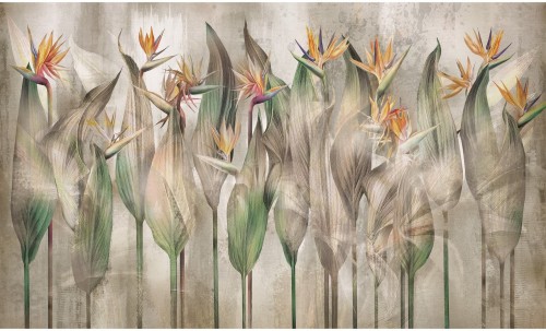 Fototapeta kwiaty strelicji Wall & More STERLICIA 2471 21A