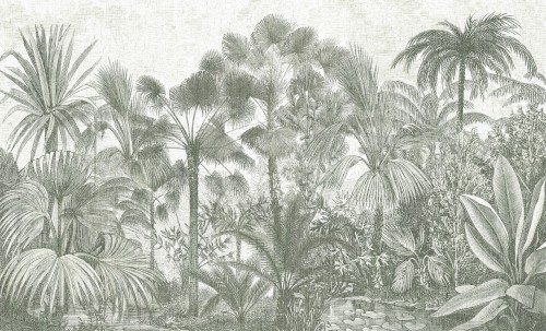 Fototapeta egzotyczna roślinność dżungla Wall & More BORNEO 24100 24C