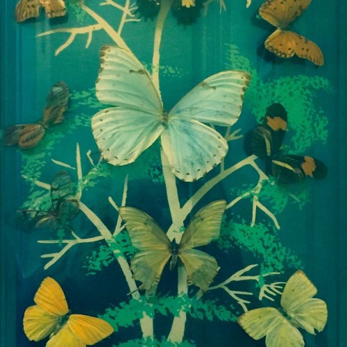 Fototapeta pod prysznic motyle Wall&Deco WET_MB2402 Madame Butterfly WET SYSTEM 2024-2