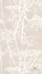 Tapeta Kwiaty Kopru Cole&Son Cow Parsley 95/9051 The Conptemporary Collection