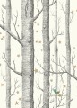 Tapeta Drzewa i Gwiazdki 103/11050 Cole & Son Woods & Stars