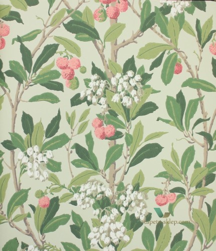 Tapeta 100/10048 Cole & Son Archive Anthology Strawberry Tree