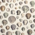 Tapeta John Derian PJD6000/02 Picture Book