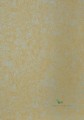 Tapeta Thibaut T57164 Faux Tortoise Texture Resource 5