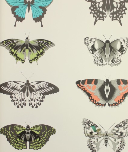 Tapeta Harlequin 111079 Amazilia