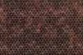 Fototapeta stylizowane liście Instabilelab PENNY Rose Gold 24K