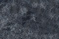Fototapeta kora drzewa i liście Instabilelab Burned Memories