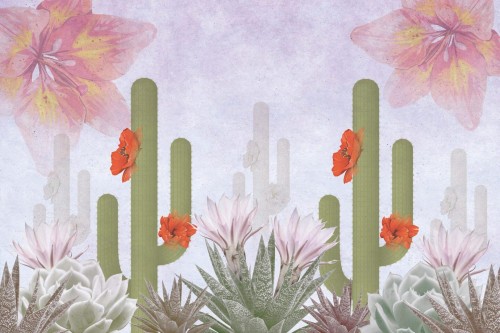 Fototapeta kaktusy Instabilelab Desert in Bloom 03 Memories
