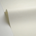 Tapeta płótno z metaliczną nitką Caselio LNI 103230020 Metallise Linen Edition 2