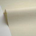 Tapeta płótno z metaliczną nitką Caselio LNI 103237325 Metallise Linen Edition 2
