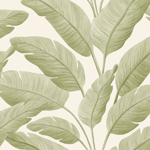Tapeta liście bananowca Caselio BORN 106547003 Tropicalia Borneo