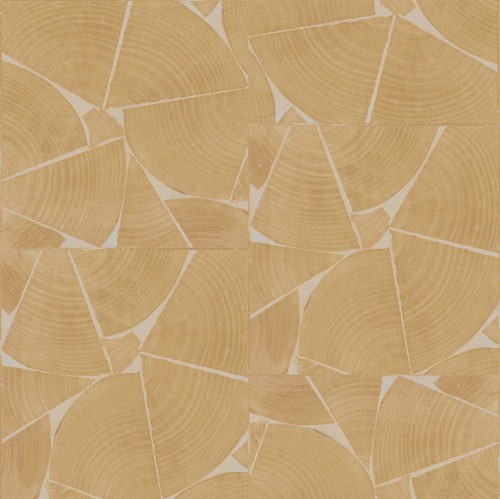 Tapeta fornir słoje drewna Elitis RM1037 15 Fragments Marqueteries