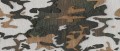 Fototapeta moro na drewnie Wall&Deco WDHB2501 Hiding In Barks Contemporary 2025