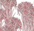 Fototapeta nowoczesne kwiaty Wall&Deco WDLI2502 Lilly Contemporary 2025