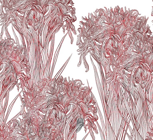 Fototapeta nowoczesne kwiaty Wall&Deco WDLI2502 Lilly Contemporary 2025