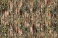 Fototapeta dżungla Instabilelab Primati 01 Memories