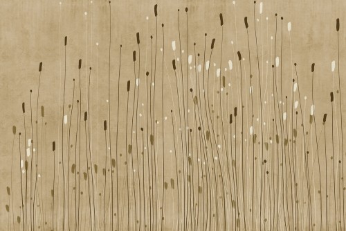 Fototapeta artystyczna trawa Lorenso TPA 0125 0120 02 Grassil