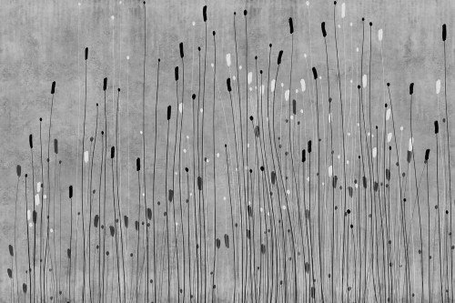 Fototapeta artystyczna trawa Lorenso TPA 0125 0120 03 Grassil