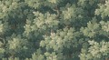 Fototapeta liście w stylu gobelinowym Rebel Walls R21353 Vintage Foliage Green Poetic