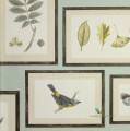 Tapeta botaniczna ramki 213400 Sanderson Voyage of Discovery