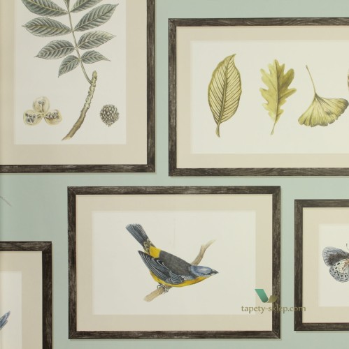 Tapeta botaniczna ramki 213400 Sanderson Voyage of Discovery