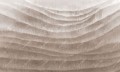 Fototapeta artystyczne falujące warstwy Inkiostro Bianco VEILS III INKUDEL2502 Monochrome