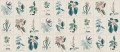 Fototapeta botaniczna vintage Sandberg S10589 Flora Blue Herbarium
