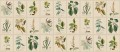 Fototapeta botaniczna vintage Sandberg S10598 Flora Green Herbarium