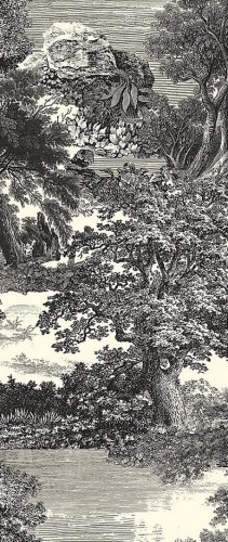 Mural krajobraz natury vintage Masureel DGSAL1013 Salcey Amazone