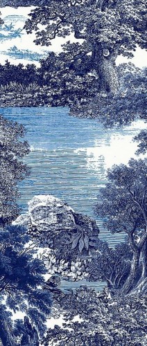 Mural krajobraz natury vintage Masureel DGSAL1021 Salcey Amazone