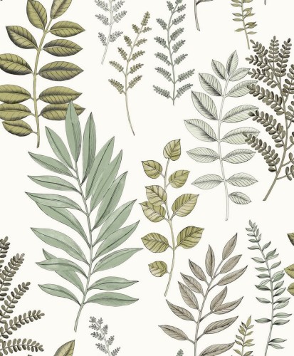 Tapeta zielnik Caselio AOB 106660782 Florium Art of Botany