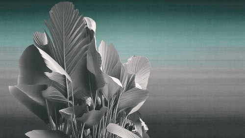 Fototapeta roślinna symfonia London Art 25001-02 Etherea Exclusive Wallpaper 2025