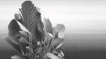 Fototapeta roślinna symfonia London Art 25001-03 Etherea Exclusive Wallpaper 2025