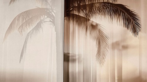 Fototapeta subtelna palma London Art 25002-02 Soft Meridian Exclusive Wallpaper 2025