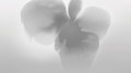 Fototapeta abstrakcyjny kwiat London Art 25007-02 Petal Glow Exclusive Wallpaper 2025