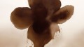 Fototapeta artystyczny kwiat London Art 25008-01 Eclipse Bloom Exclusive Wallpaper 2025