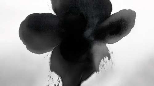 Fototapeta artystyczny kwiat London Art 25008-02 Eclipse Bloom Exclusive Wallpaper 2025