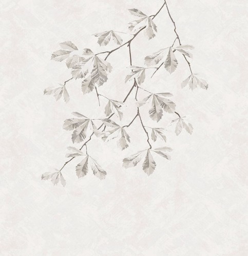 Fototapeta delikatnie rysowane liście London Art 25042-02 Night And Day Exclusive Wallpaper 2025