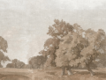 Mural krajobraz z rozległymi łąkami i wysokimi drzewami Boras Tapeter Studio 9671W Hedgerow Landscape