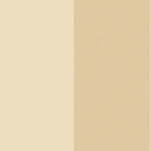 Tapeta szerokie pasy Caselio LNP 106721000 XXL Lines Line Up