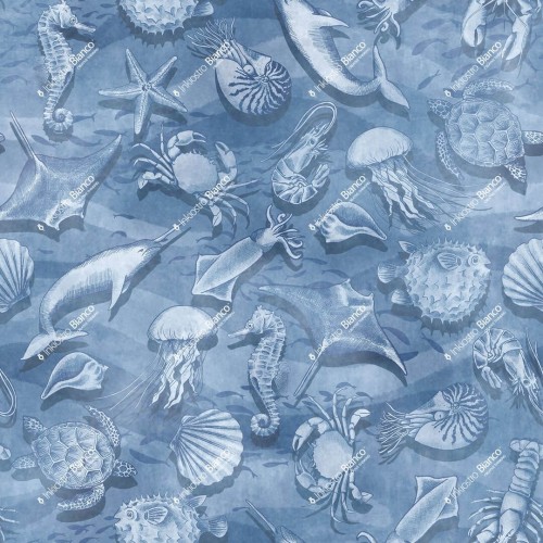 Fototapeta podwodne stworzenia Inkiostro Bianco AFLOAT INKICIT2502 Inkids