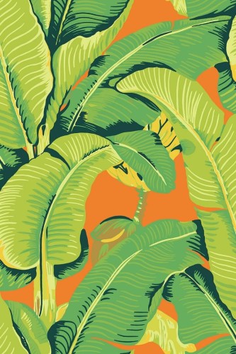 Tapeta liście bananowca J&V 26012 Hinson Palm Scalamandre