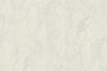 Tapeta marmur Decori & Decori 86765 Carrara 4
