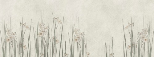 Fototapeta kwiaty narcyza TapLab 613_005 JONQUIL Collection 25