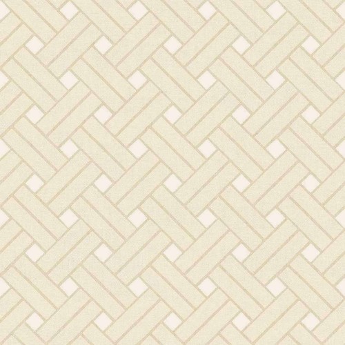 Tapeta geometryczna plecionka Cristiana Masi 32421 Vitalis