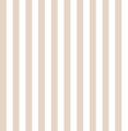 Tapeta w paski Cristiana Masi 38452 Top Stripes